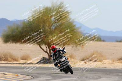 media/Feb-12-2025-YCRS ChampSchool (Wed) [[2f656d0e21]]/EZ Group 2/Session 2 (Turn 4 Tree of Life)/